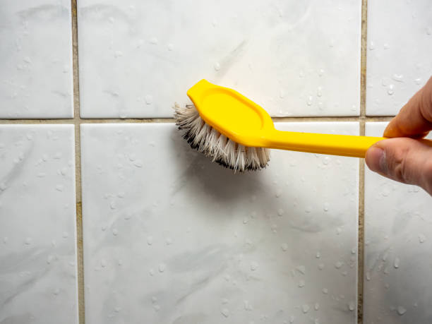 Best Same-Day Mold Removal  in Pleasant Hill, PA