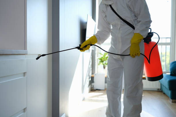 Best Commercial Mold Removal  in Pleasant Hill, PA