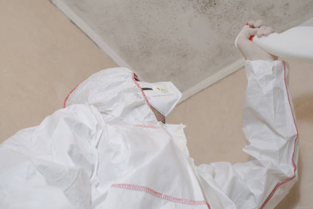 Best Mold Remediation  in Pleasant Hill, PA