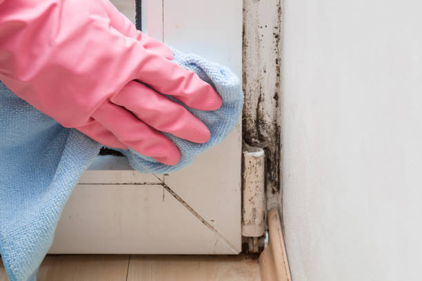 Best Crawl Space Mold Removal  in Pleasant Hill, PA